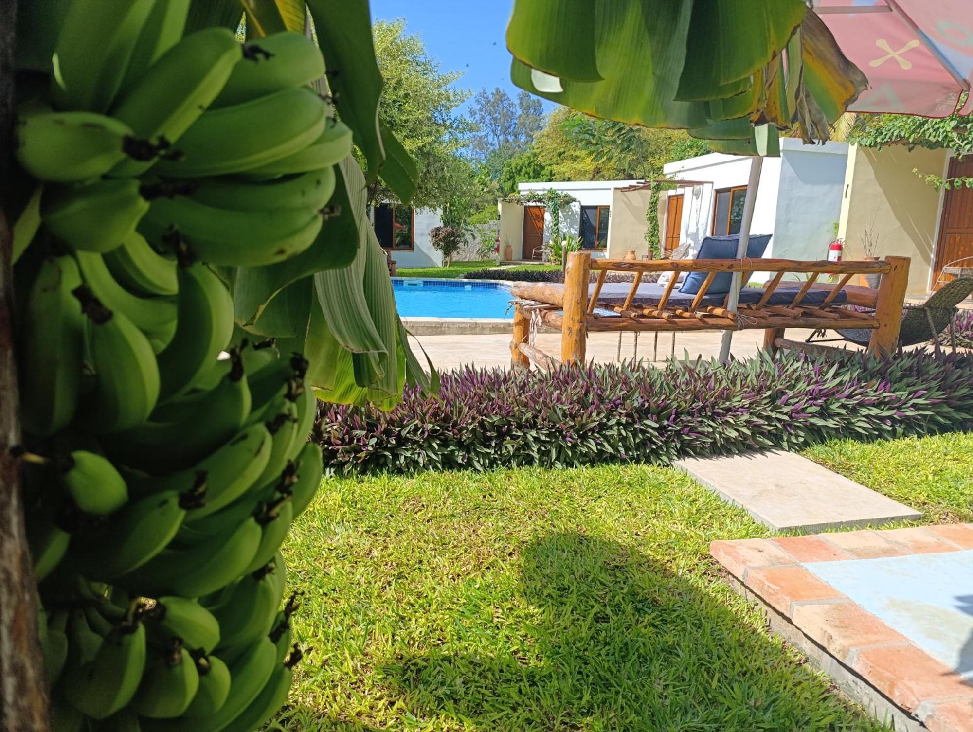 Telvina Beach Lodge Vilanculos Exteriör bild